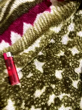 Snapshot of United3 chatting on 11-19-25, 07:52 United3 online show from 11-19-25, 07:52