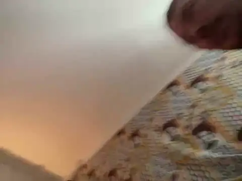 zenzero87 online show from 12-21-24, 12:49