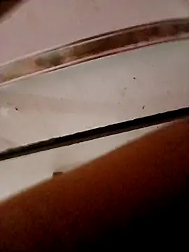 frotasso online show from 10-23-25, 11:14