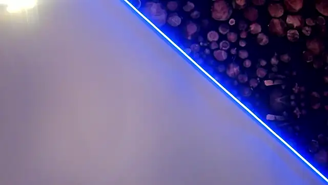 Snapshot of ArtemisaBlake chatting on 03-22-25, 04:47 ArtemisaBlake online show from 03-22-25, 04:47