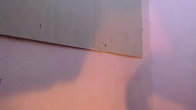 mr stiven  online show from 03-22-25, 02:16