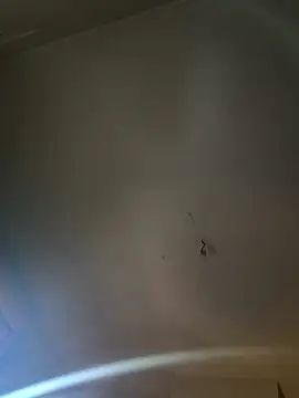 Jiimy2fois online show from 03-06-26, 09:39