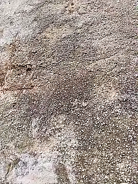 Eleni Pappa online show from 04-06-26, 09:10