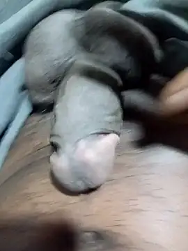 tharu111111 online show from 04-01-26, 07:22