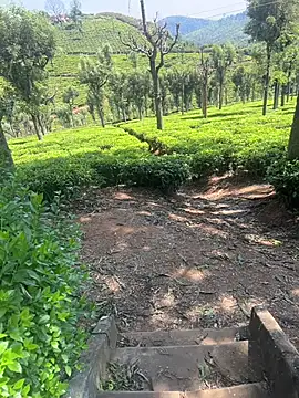 Hillz king 98 online show from 02-28-25, 03:37