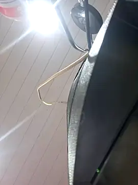 ppatriciarabello online show from 11-17-25, 03:40