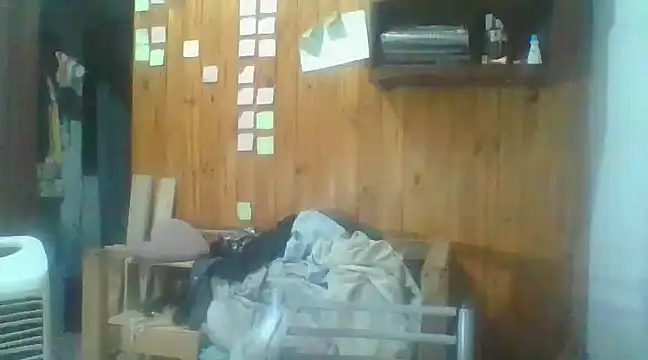 italianbighorse22 online show from 01-02-25, 02:11