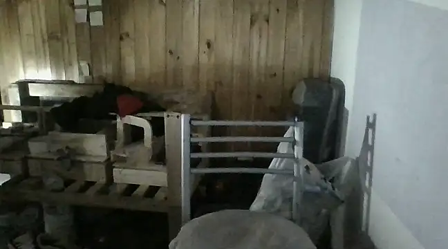 italianbighorse22 online show from 01-18-25, 06:03