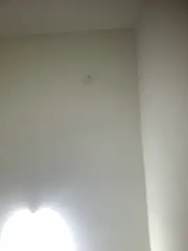 Snapshot of bidex002 chatting on 05-15-26, 11:01 bidex002 online show from 05-15-26, 11:01