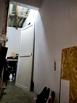 gatoalex89 online show from 02-19-25, 03:06