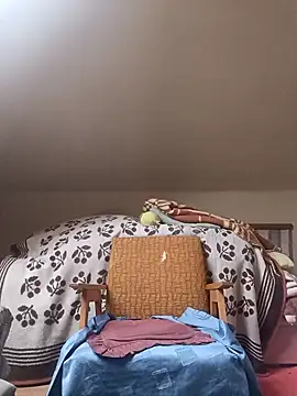 danitomii online show from 03-31-26, 06:25