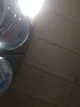 zaneporter46 online show from 02-16-26, 05:36