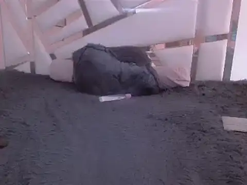 GabrielaFerrer02 online show from 01-25-25, 02:47