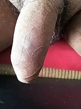 Snapshot of Arasu_ chatting on 02-01-25, 10:48 Arasu online show from 02-01-25, 10:48