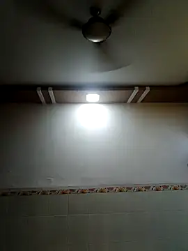 Snapshot of carria_homes chatting on 12-29-24, 12:55 carria homes online show from 12-29-24, 12:55