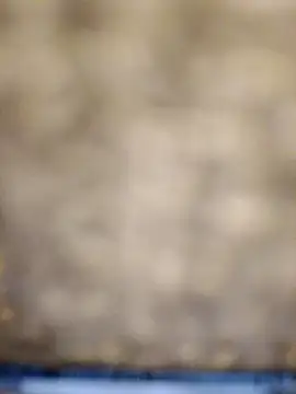 618fuckupp online show from 10-27-25, 11:25