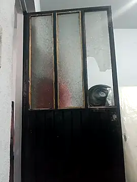 chinoxxx online show from 04-26-26, 05:21