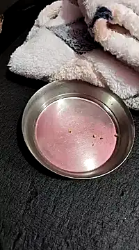 Snapshot of Whitehouse01 chatting on 01-13-25, 02:42 Whitehouse01 online show from 01-13-25, 02:42