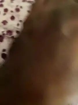 Snapshot of Rathi22 chatting on 03-23-25, 03:10 Rathi22 online show from 03-23-25, 03:10