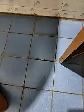 dreamers dick online show from 01-09-25, 07:50