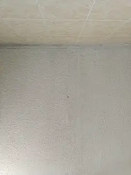 boobsTaylor online show from 09-21-25, 06:53