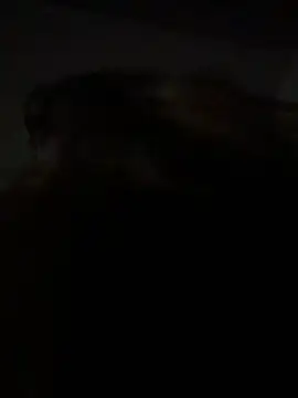 Kitty DaCocks online show from 01-07-26, 12:13