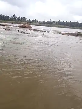 aryan 8051 online show from 10-29-25, 05:31