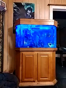 Snapshot of Rebeckalove chatting on 02-16-25, 01:49 Rebeckalove online show from 02-16-25, 01:49