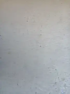 Pooja cut online show from 10-02-25, 03:35