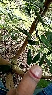 mmarvis za78 93 21cm online show from 02-05-25, 08:14