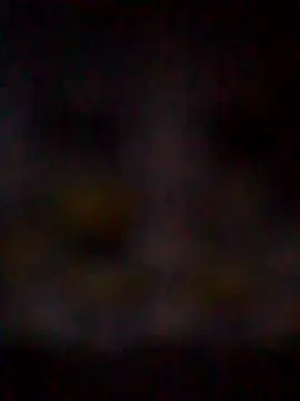 Snapshot of missAmanda69 chatting on 07-29-26, 11:25 missAmanda69 online show from 07-29-26, 11:25