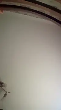 Snapshot of Lauren_Amabel chatting on 03-16-25, 07:04 Lauren Amabel online show from 03-16-25, 07:04