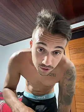 Snapshot of carvalhofelipe chatting on 01-11-25, 12:33 carvalhofelipe online show from 01-11-25, 12:33