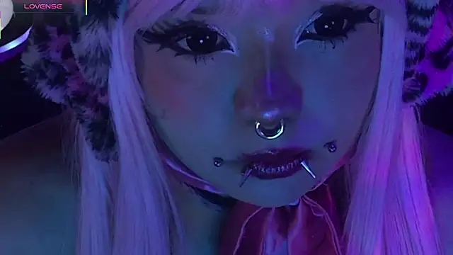 LaytonBox online show from 03-24-26, 02:11