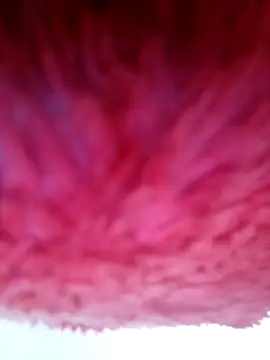 Samara-Bella online show from 01-06-26, 05:22