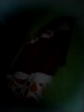 safado0027 online show from 11-09-25, 08:34