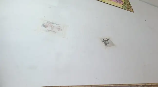 boysLittle online show from 02-14-25, 10:04