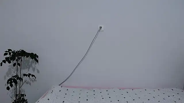                     88 online show from 02-03-26, 09:53