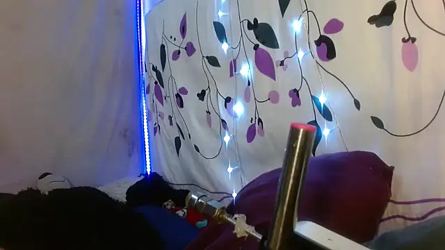 kattislut77 online show from 02-07-26, 07:50