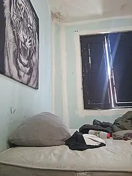 dany hardy online show from 02-22-26, 05:55