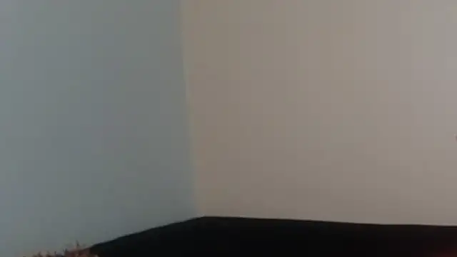 Snapshot of hairyncuteass chatting on 02-13-25, 08:24 hairyncuteass online show from 02-13-25, 08:24