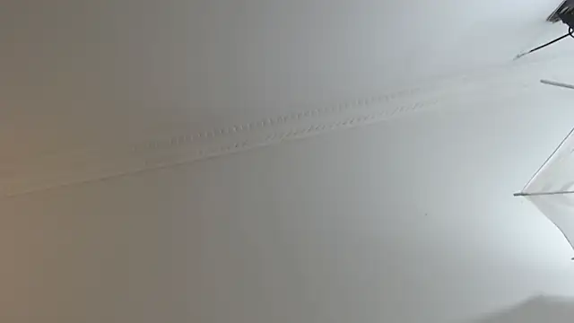 BrandonColee online show from 02-10-25, 12:29