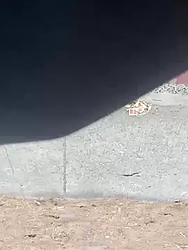 Snapshot of Jinenez chatting on 03-16-25, 12:00 Jinenez online show from 03-16-25, 12:00