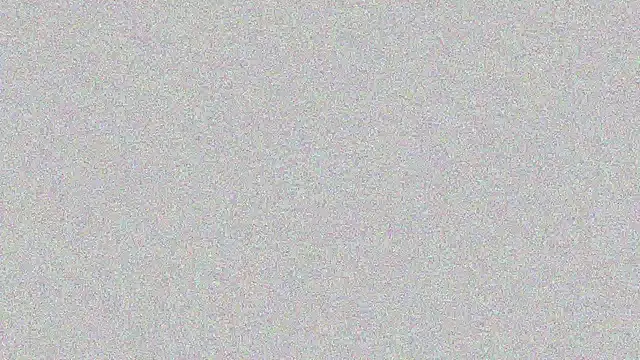 Elsa-bad online show from 02-22-25, 11:24