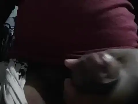 Snapshot of lolboy1234Z chatting on 01-23-25, 03:54 lolboy1234Z online show from 01-23-25, 03:54