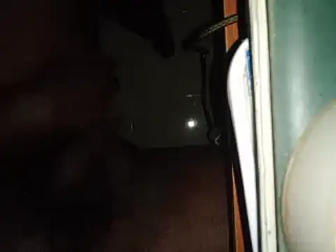 world bigdick1 online show from 02-14-25, 05:14