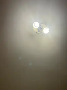 bunnythetailor online show from 04-07-26, 06:41