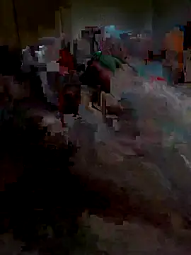 Ariba270 online show from 11-01-25, 09:55