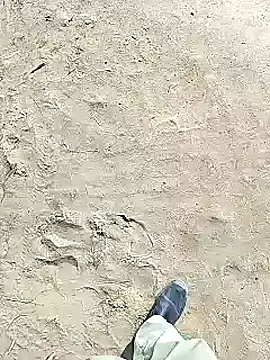 Snapshot of xmanrawan2 chatting on 02-02-25, 06:37 xmanrawan2 online show from 02-02-25, 06:37