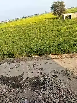 Snapshot of xmanrawan2 chatting on 02-02-25, 10:57 xmanrawan2 online show from 02-02-25, 10:57